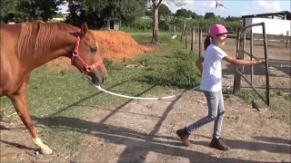 Júlia Apresenta seu Novo Cavalo o Wind