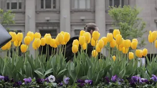 Beautiful Flowers ~ Planet Earth Amazing Nature Scenery , The Best Relax .....Music