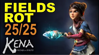 Fields: All Rot Locations | KENA: Bridge of Spirits (Collectibles Guide)