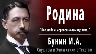 И.А. Бунин "Родина" (Под небом мертвенно-свинцовым) - Слушать и Учить аудио стихи