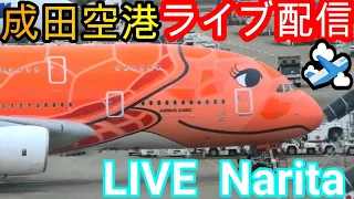 ✈️成田空港📸生中継 Narita International Airport 🛫Live【Gibson Narita】