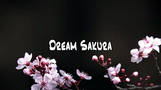 Japanese impressed music (No Copyright) "Dream Sakura" Piano [Free BGM]