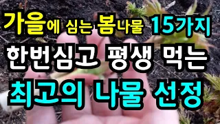 한번 심고 평생 먹는가을에 심는 봄나물15가지 최고의 맛과 식감좋은 나물들만 선정 시골 텃밭 키우기 쉬운 다년생 나물 추천 #봄나물 #봄 #자연 #시골 #요리 #건강 #힐링