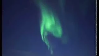 Northern Lights/Aurora Borealis- keeping Reindeer safe Night-time