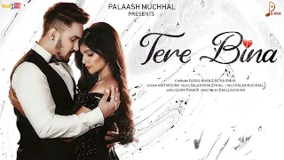 Tere Bina (Official Video) Amit Mishra ft. Faisal Khan & Richa Sinha | Palaash Muchhal | Pal Music