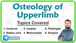 🦴 Oestology Of Upper Limb : Anatomy Lecture series 🎓🔍🕵️‍♂️