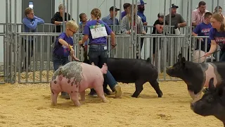 State Fair Market Gilt Riah & Edna 2023