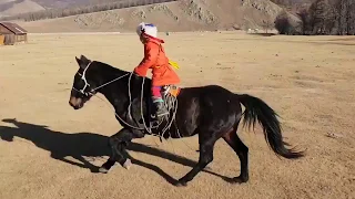 Как монголы учат детей верховой езде?
