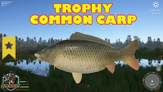 Trophy Common Carp from active Bear Lake hot spot - Russian Fishing 4