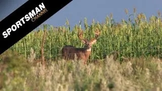 Giant Whitetail hits the Dirt with Realtree's Monster Bucks!