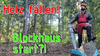 Holz fällen für das erste Blockhaus?!