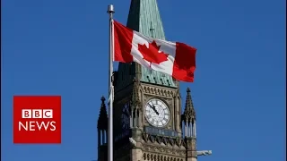 Canadians react to Trump's shoe smuggling claim - BBC News