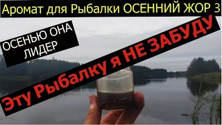 Супер Рыболовная Насадка ОСЕННИЙ ЖОР 3  САМАЯ ДИКАЯ РЫБАЛКА!