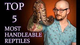 Top 5 MOST HANDLEABLE Reptiles