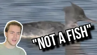 Fish Biologist Reacts To "10 Craziest Fish Ever Caught"