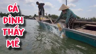 Cá Dính Chùm Mà Tim Còn Lên Như Nồi Cơm Sôi | #66TV #fishing