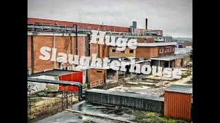 Huge Abandoned Slaughterhouse - Forladt slagteri