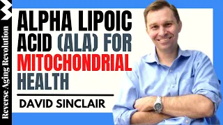 DAVID SINCLAIR "Alpha Lipoic Acid For Mitochondrial Health" | Dr David Sinclair Interview Clips