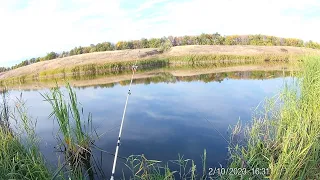 рыбалка на пруду