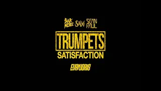 Sak Noel & Salvi Ft. Sean Paul - Trumpets (Javi Guzman)(Evan Joris edit )