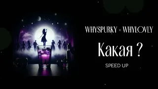 WHYSPURKY × WHYLOVLY – какая ? (Speed up)