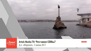 Artek Media TV: Что такое СОМы?