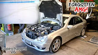 Mercedes C32 AMG DYNO Run! **How Much Power Do They ACTUALLY Make?**