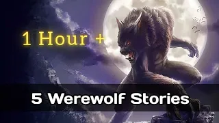 5 Real Werewolf Encounter Horror Stories 1 Hour +