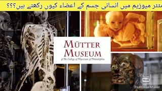 Mütter Museum|Insaani Jism k Azza ki Numaish|Soap Lady|Colon|