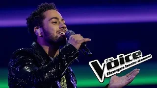 Sebastian Ferraz – All Night Long (All Night) | Live Show | The Voice Norge 2019