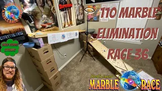 2021 Marble Race | 101 Marble Live Elimination Race 36 | ASMR | Marble Run