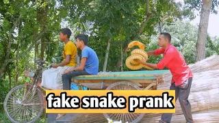 fake snake prank video