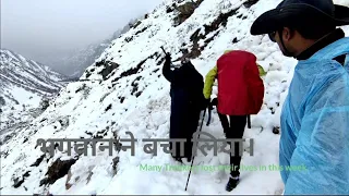 Gaumukh Yatra | Gangotri To Gaumukh Trek | Origin of Ganga | Koshur Nomad