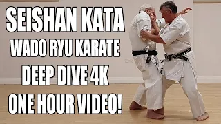 Seishan Kata - Wado Ryu Karate -  Full 1 hour 4k video