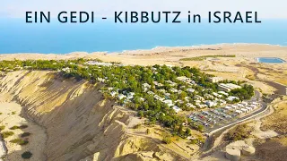 EIN GEDI is a KIBBUTZ on the western shore of the DEAD SEA in Israel