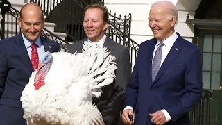 Biden Pardons Thanksgiving Turkeys on His 81st Birthday