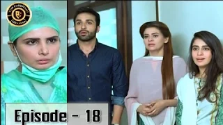 Mere Humnawa Ep 18 14th January 2017 - ARY Digital Top Pakistani Dramas