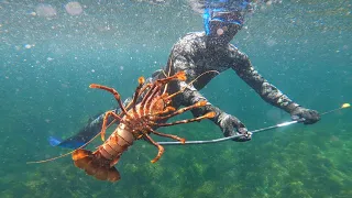 FREEDIVING for crayfish in South West Aus | .6