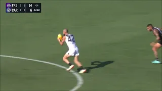 Elijah Hollands - AFL 2024 Round 4 Highlights - Carlton vs Fremantle