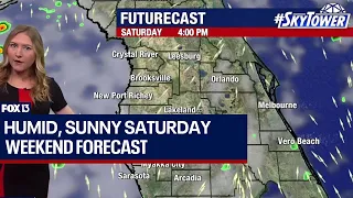 Tampa Bay Area weather: Sunny Saturday