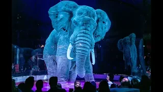 German Circus With Hologram Technology 2019