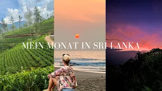 Mein Monat in Sri Lanka! #srilanka #digitalnomad