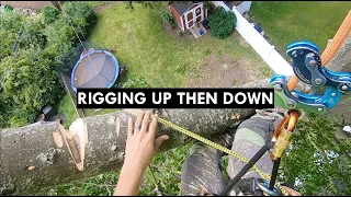 Big Oak Rigging Part 1