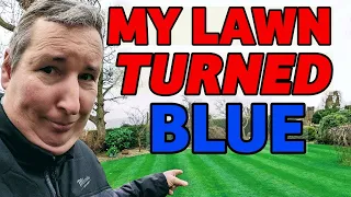 The biggest mistake I made this year on my lawn!