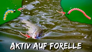 Ultraleicht FORELLENANGELN | Meine Taktik mit zwei besonderen KÖDER | Montage & Führung