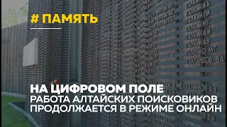 Узнать судьбу пропавших солдат ВОВ можно онлайн с помощью алтайских поисковиков