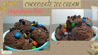 How to Make Home Made Chocolate Ice Cream | 3 Ingredients Only!