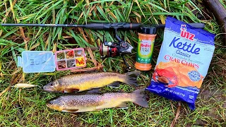 Brown Trout Catch n' Cook - Chip-Crusted Fish!