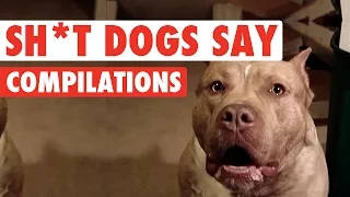 Sh*t Dogs Say Funny Pet Video Compilation 2016