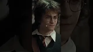 The potter siblings😂😂🤣(not mine)
